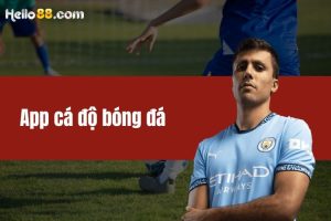 App cá độ bóng đá - Top ứng dụng chất lượng hàng đầu 2024