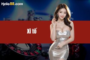 Xì tố - Luật chơi chi tiết từ A- Z dành cho người mới